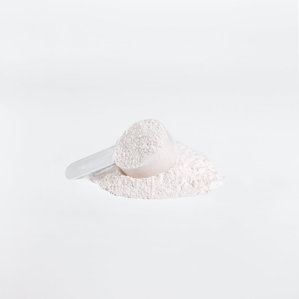 Zunu BCAA Shock Powder Fruit Punch