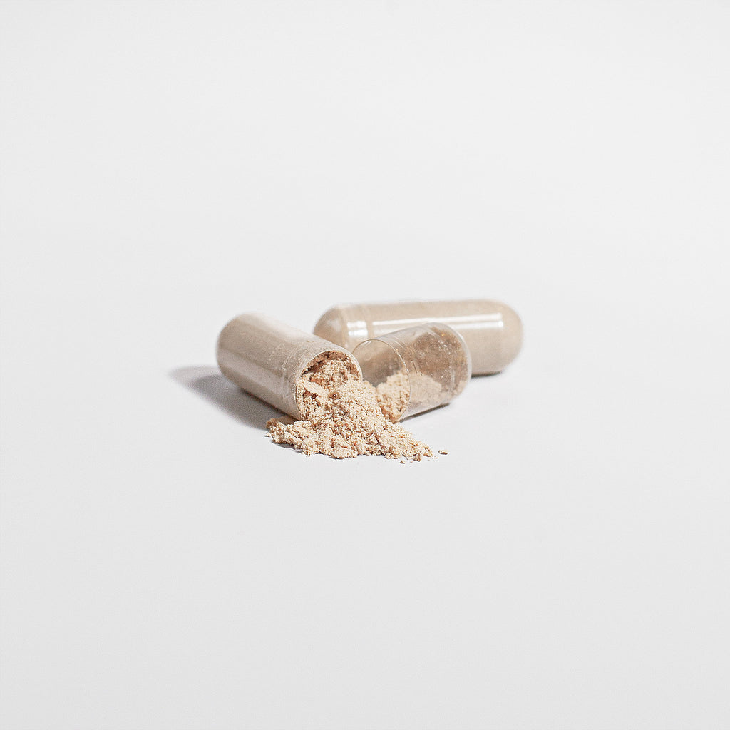 Zunu Chaga Mushroom Capsules